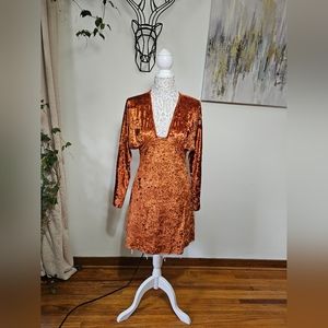 October Rust Long Sleeve Velvet Dress